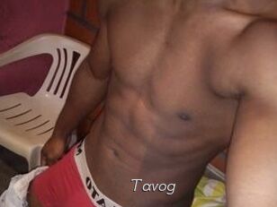 Tavog