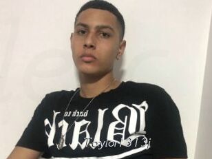 Taylor1313j
