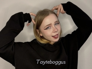 Tayteboggus