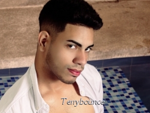 Terrybounce