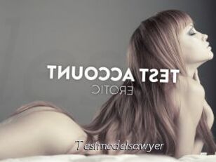 Testmodelsawyer