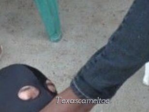 Texascameltoe