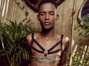 teylorray Le Scandale