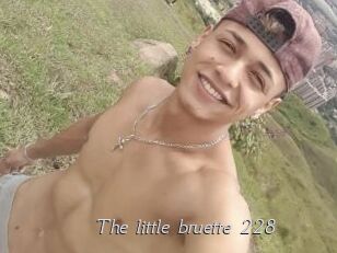 The_little_bruette_228