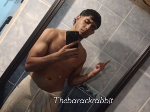 Thebarackrabbit