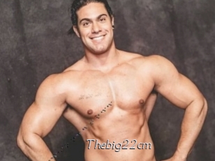 Thebig22cm