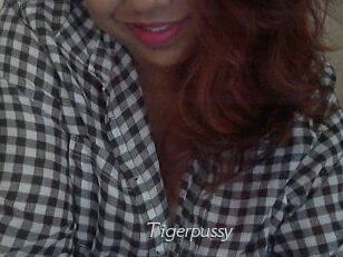 Tigerpussy