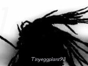 Tinyeggplant93