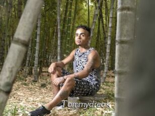 Tommydreak