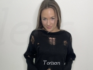 Torisan