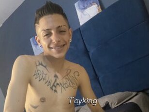 Toyking