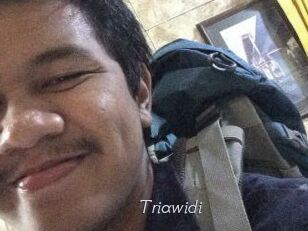 Triawidi
