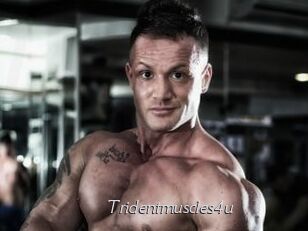 Tridentmuscles4u