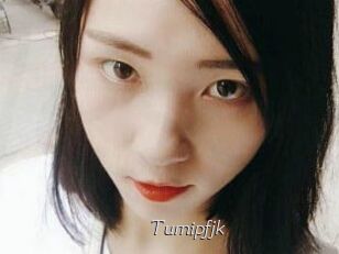 Turnipfjk