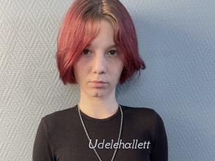 Udelehallett