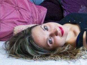Uparadisebird