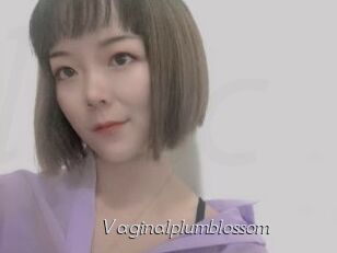 Vaginalplumblossom