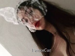 VeniceCat