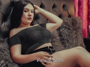 VenusCollins