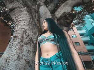 Venus_Walton