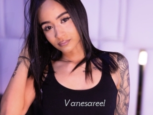Vanesareel