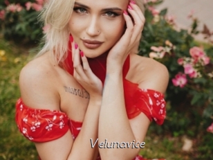 Velunavice