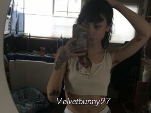 Velvetbunny97