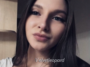 Velvetleopard