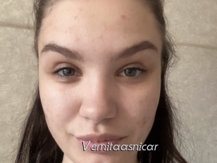 Vernitaasnicar