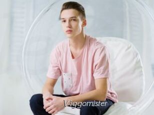 Viggomister