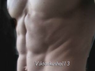 Viktarkushal13