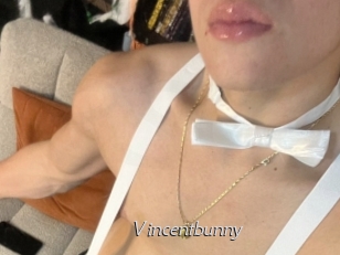 Vincentbunny