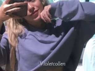 Violetcollen