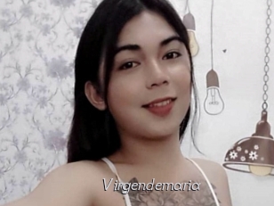 Virgendemaria