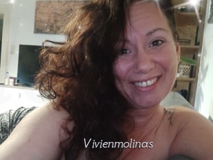 Vivienmolinas