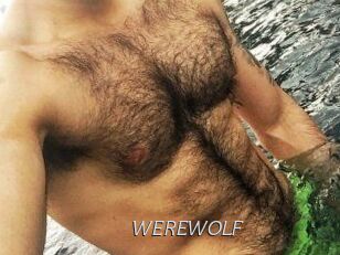 WEREWOLF