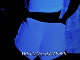 WETGiNgErSNAPPER