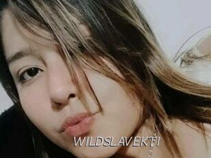 WILDSLAVEKTI
