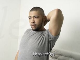 WayneBoyI