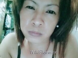 WildFlowerxx