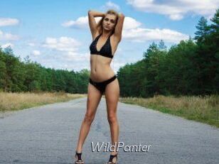 WildPanter