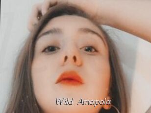 Wild_Amapola