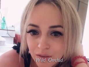 Wild_Orrchid