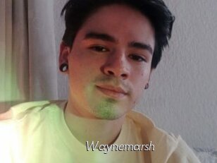Waynemarsh