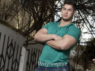Waynneprice