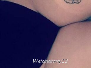 Wetanatomy22