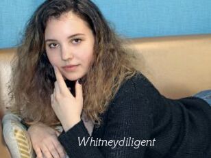 Whitneydiligent