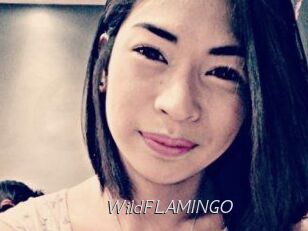 WildFLAMINGO
