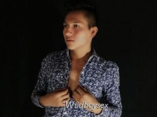 Wildboysex