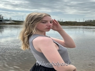 Wilonebolyard
